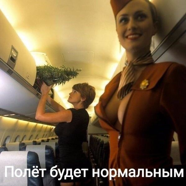 Полёт будет нормальным