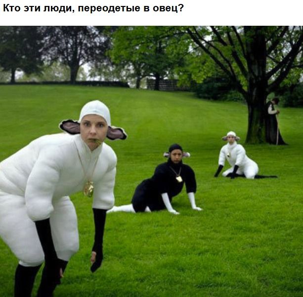 Кто эти люди, переодетые в овец?