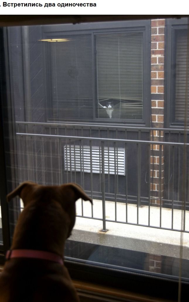 Встретились два одиночества
