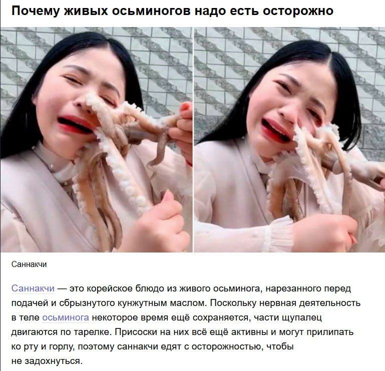 Почему живых осьминогов надо есть осторожно