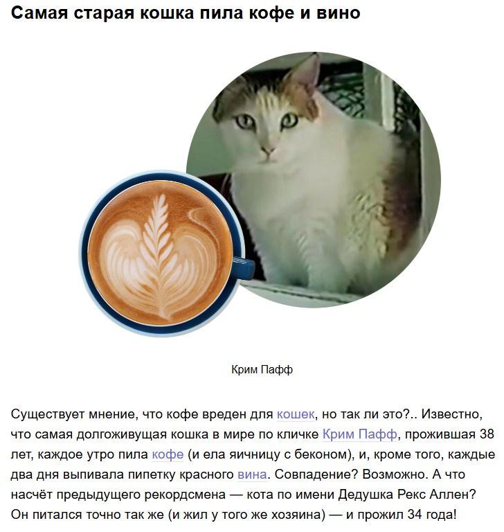 Самая старая кошка пила кофе и вино. Существуют мнения, что кофе вреден для кошек, но так ли это? Кличка Крим Пафф, прожившая 38 лет.