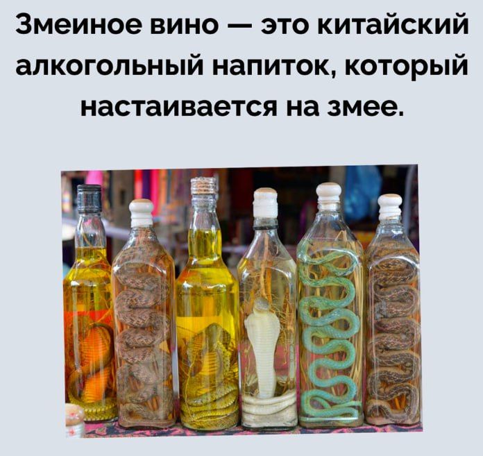 Змеиновое вино — это китайский алкогольный напиток, который настаивается на змее.