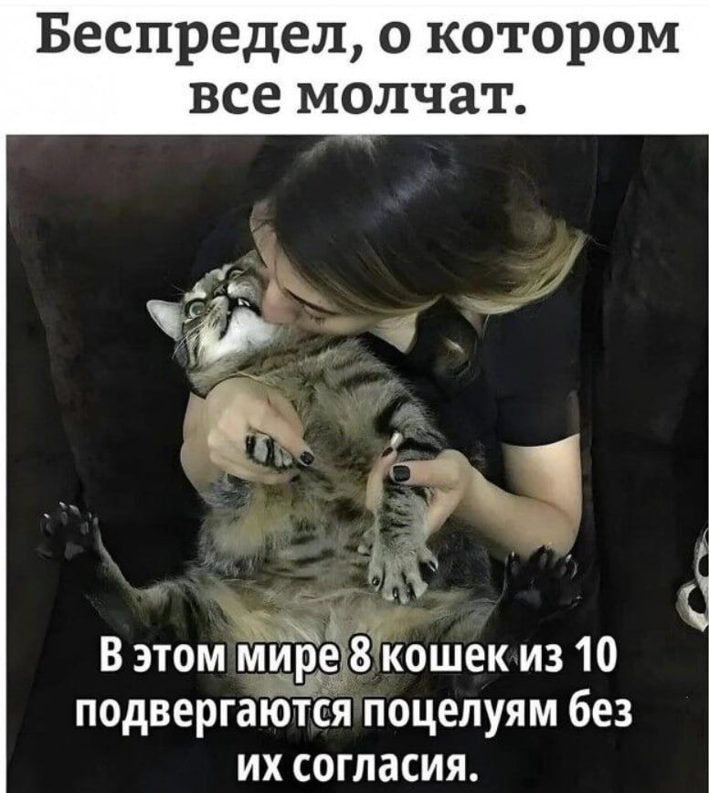 Беспредел, о котором все молчат.
В этом мире 8 кошек из 10 подвергаются поцелуям без их согласия.