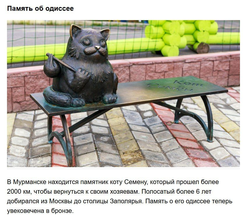 Память об одиссее. В Мурманске находится памятник коту Семену, который прошёл более 2000 км, чтобы вернуться к своим хозяевам. Полосатый кот более 6 лет добрался из Москвы до столицы Заполярья. Память о его одиссее теперь увековечена в бронзе.