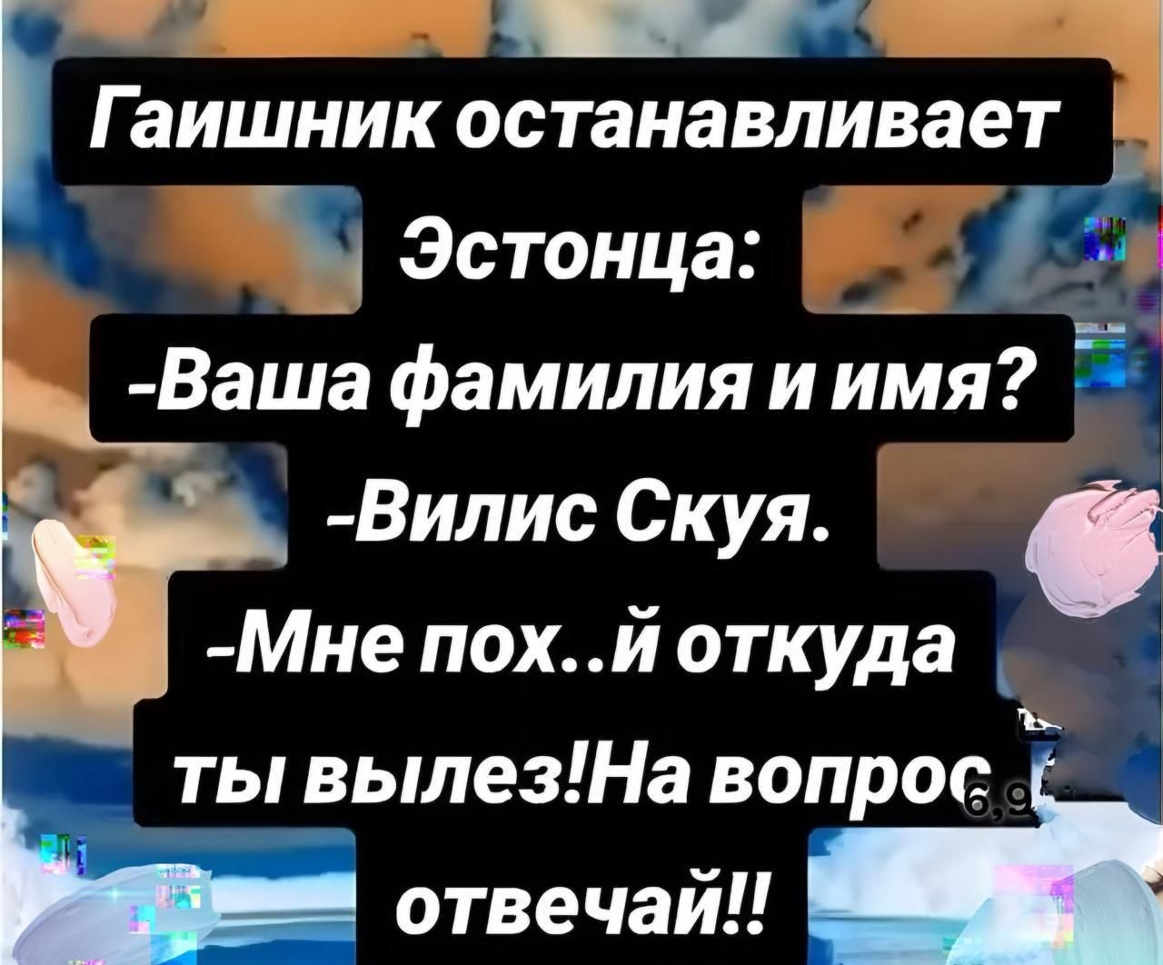 Гаишник останавливает Эстонца:
- Ваша фамилия и имя?
- Вилис Скуя.
- Мне пох..й откуда ты вылез! На вопрос отвечай!!