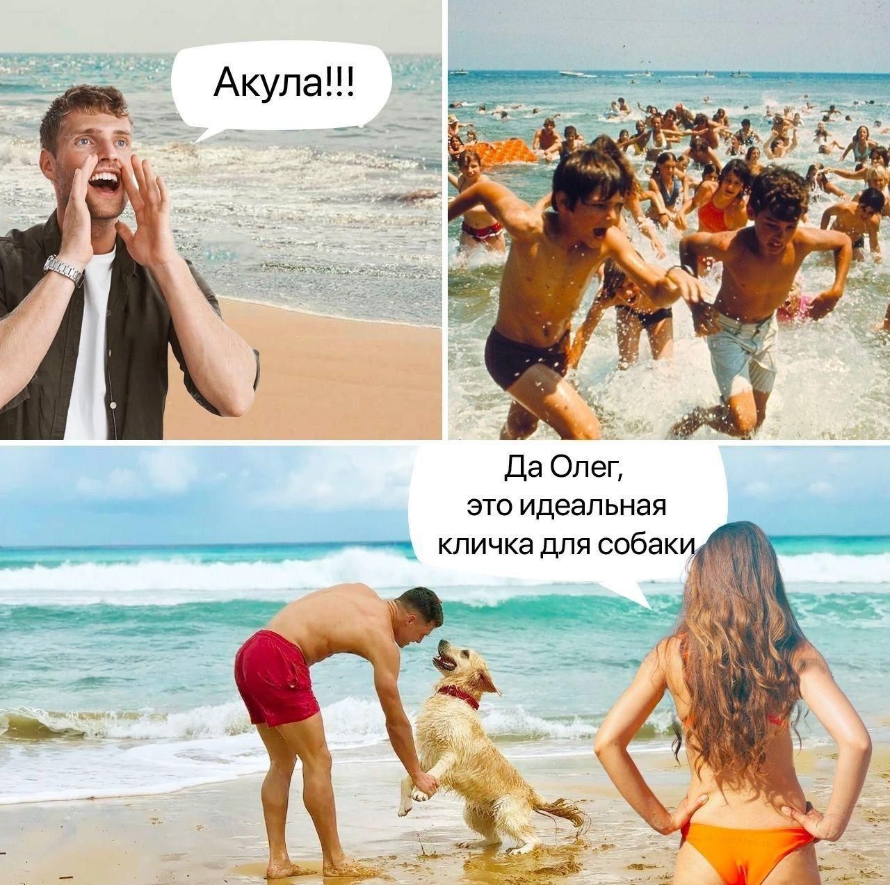 Акулa!!! Да Олег, это идеальная кличка для собаки.