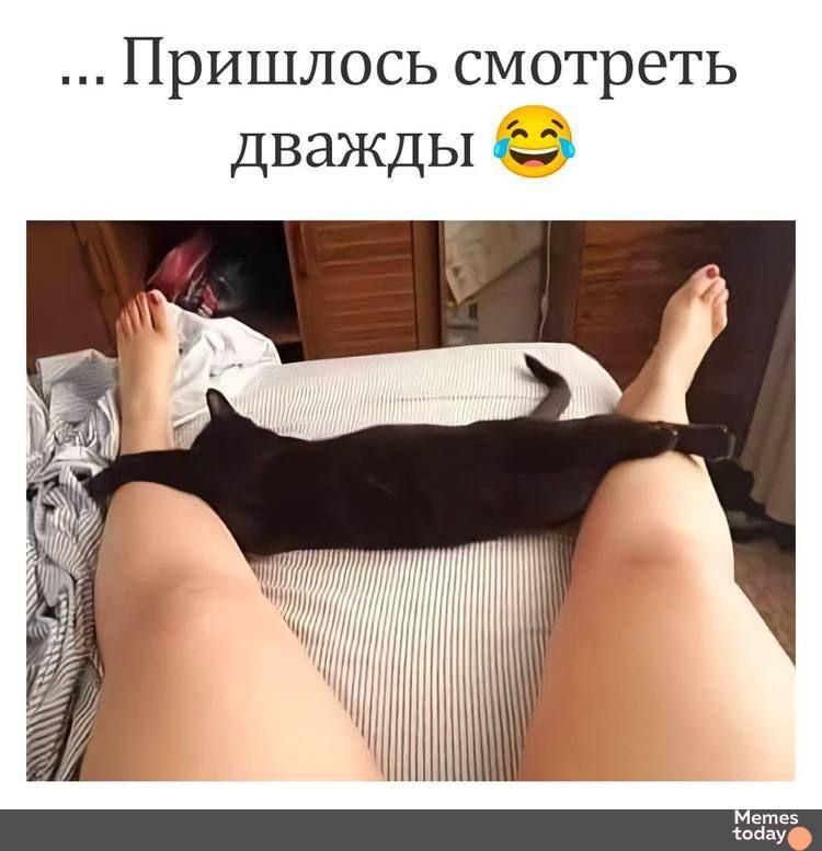 ... Пришлось смотреть дважды 😂