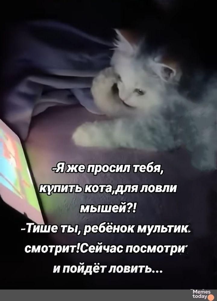 -Я же просил тебя, купить кота, для ловли мышей!? 
-Тише ты, ребёнок мультик смотрит! Сейчас посмотри и пойдёт ловить...
