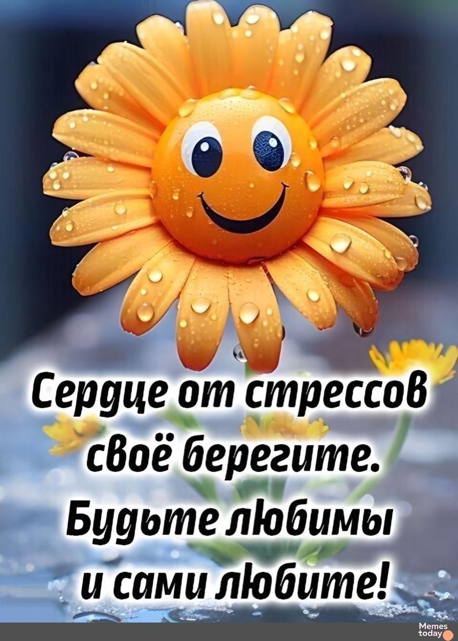 Сердце от стрессов своё берегите. Будьте любимы и сами любите!