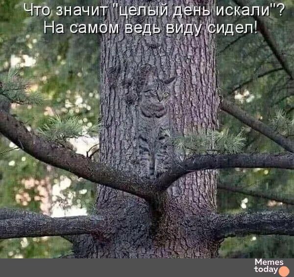 Что значит 
