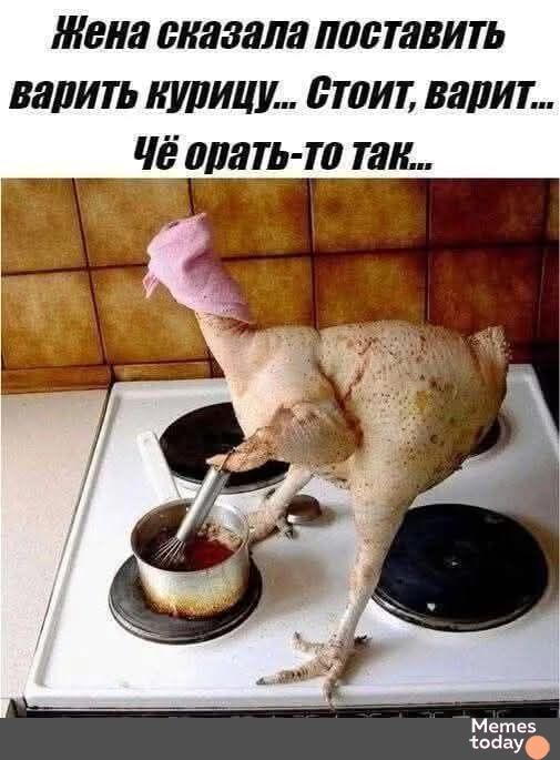 Жена сказала поставить варить курицу... Стоит, варит... Чё орать-то так...