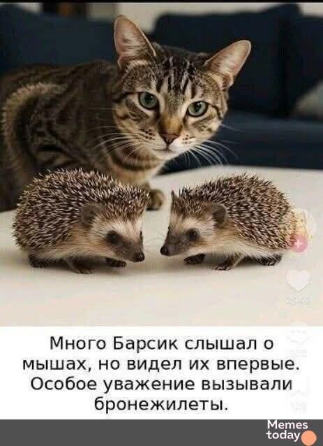 Много Барсик слышал о мышах, но видел их впервые. Особое уважение вызывали бронежилеты.