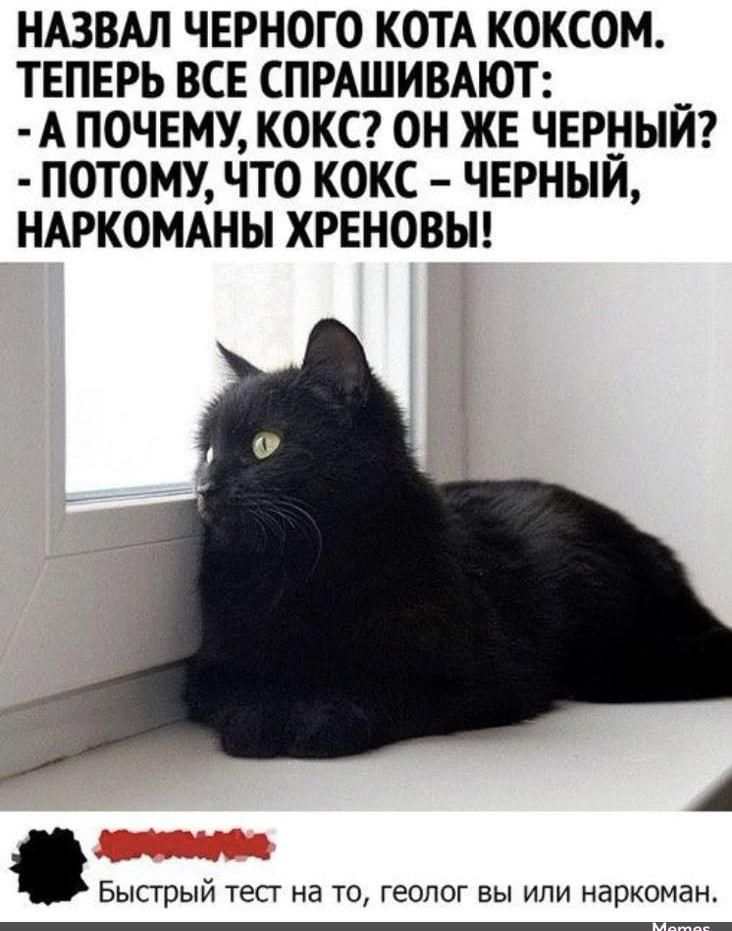 НАЗВАЛ ЧЕРНОГО КОТА КОКСОМ. ТЕПЕРЬ ВСЕ СПРАШИВАЮТ:
- А ПОЧЕМУ, КОКС? ОН ЖЕ ЧЕРНЫЙ?
- ПОТОМУ, ЧТО КОКС – ЧЕРНЫЙ, НАРКОМАНЫ ХРЕНОВЫ!

БЫСТРЫЙ ТЕСТ НА ТО, GEOLOG ВЫ ИЛИ НАРКОМАН.