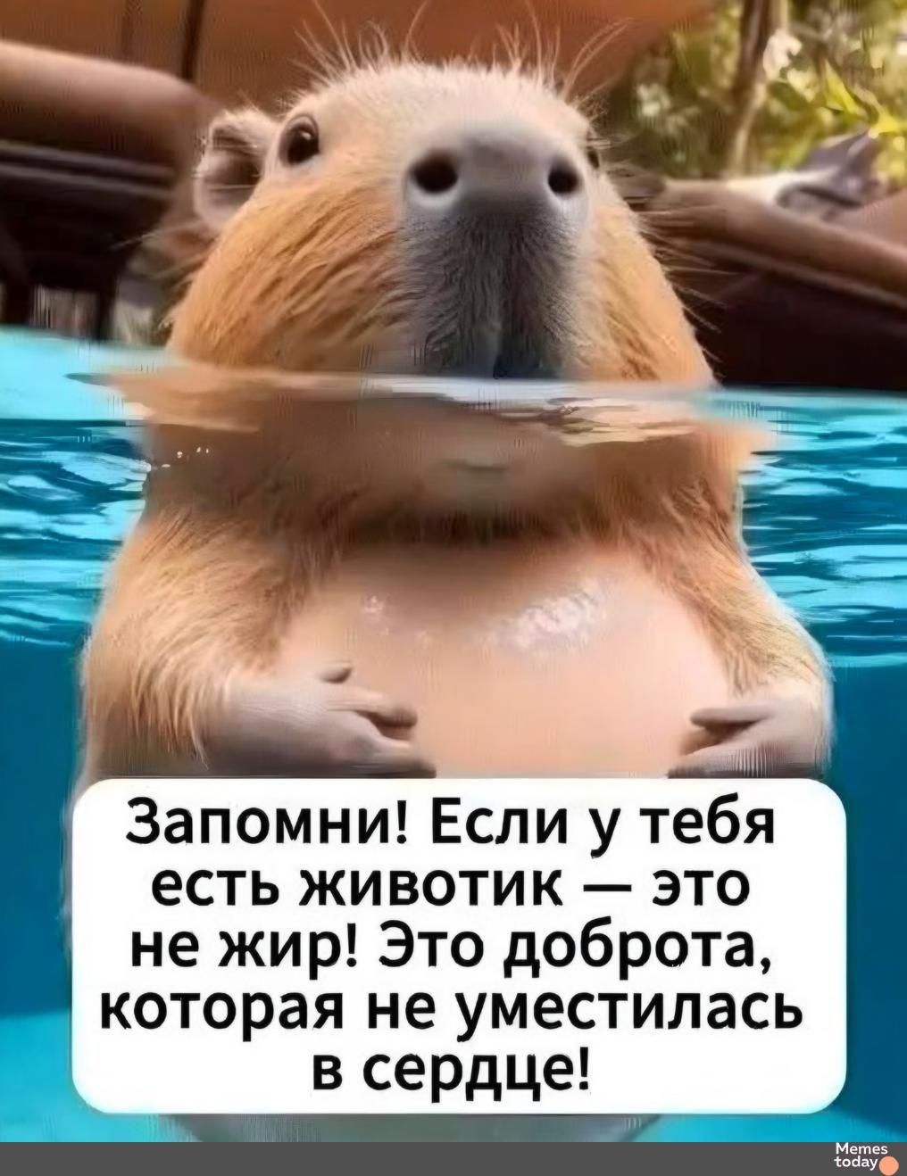Запомни! Если у тебя есть животик — это не жир! Это доброта, которая не уместилась в сердце!