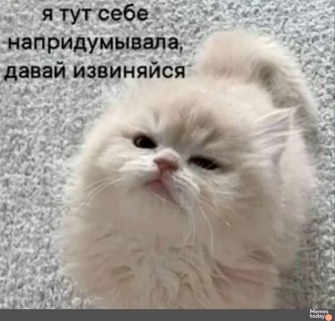 я тут себе напридумывала, давай извинись