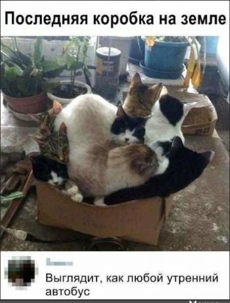 Последняя коробка на земле
Выглядит, как любой утренний автобус.