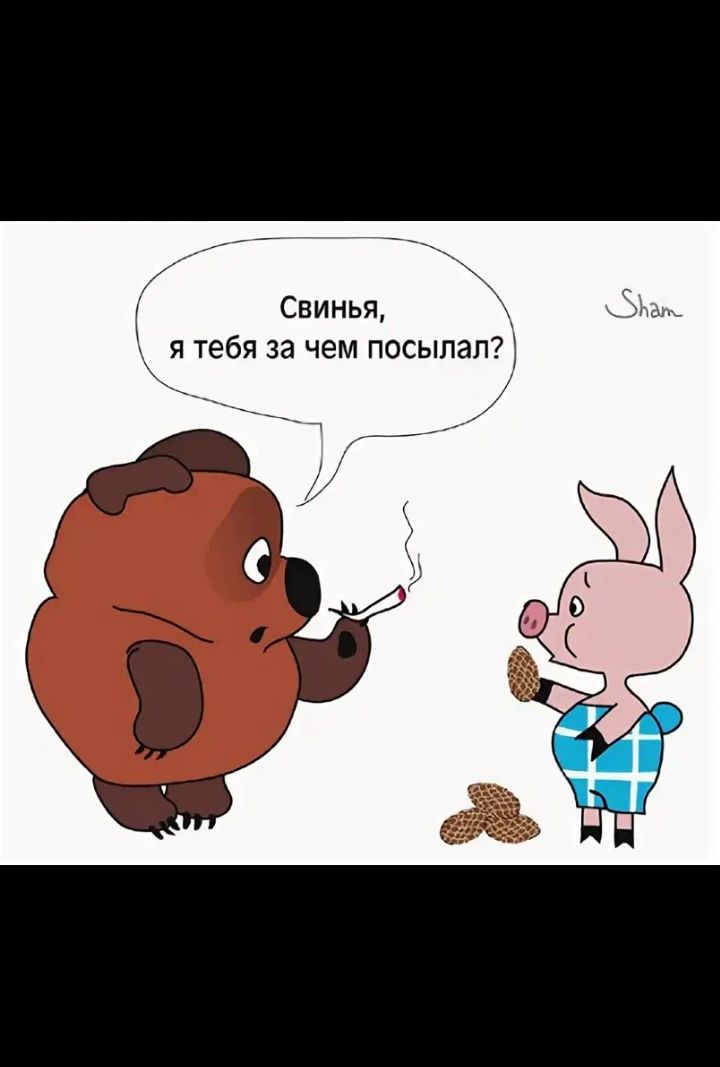 Свинья, я тебя за чем посылал?