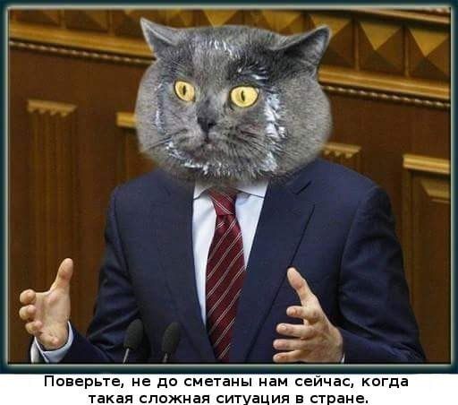 Поверьте, не до сметаны нам сейчас, когда такая сложная ситуация в стране.