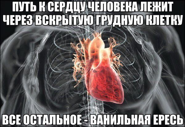 Путь к сердцу человека лежит через вскрытую грудную клетку\nВсе остальное - ванильная ересь
