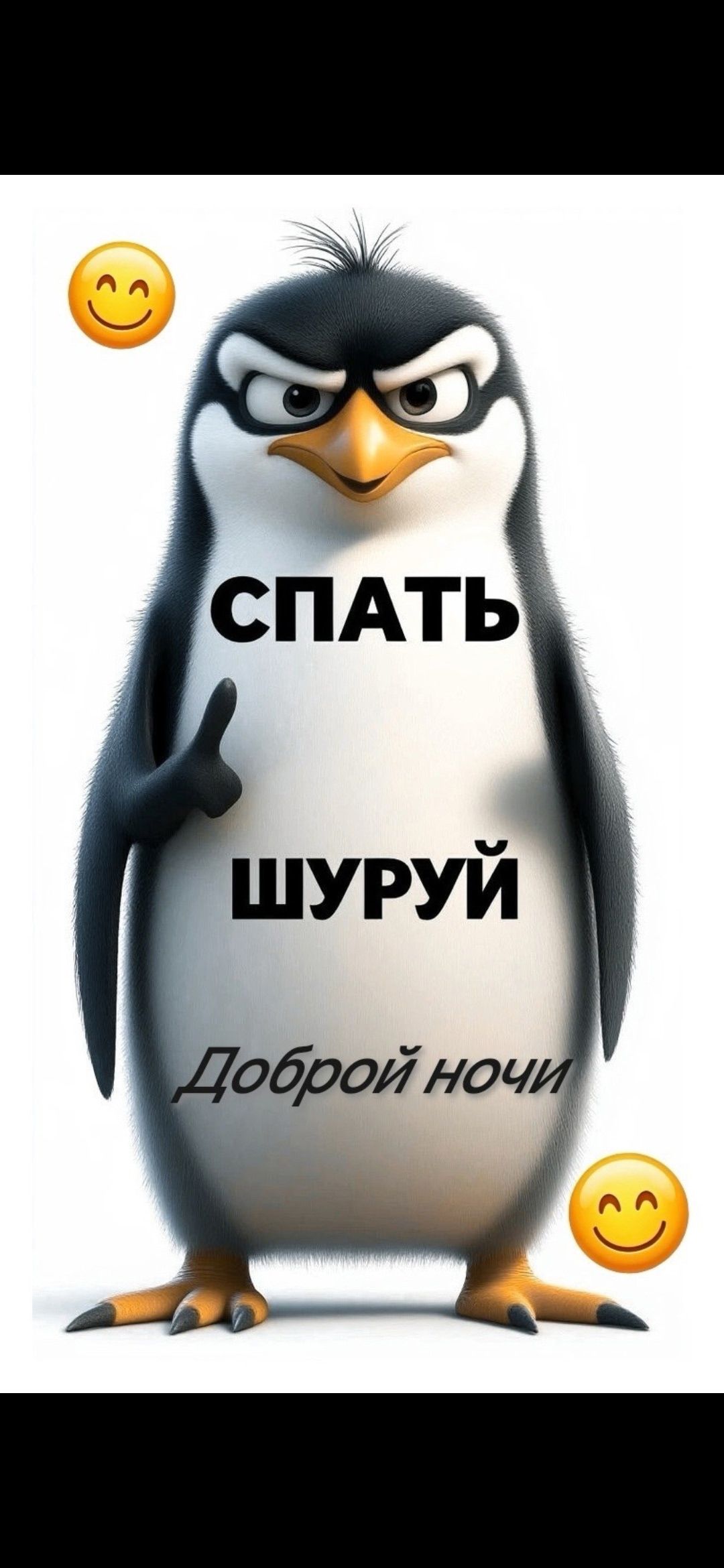 СПАТЬ ШУРУЙ Доброй ночи