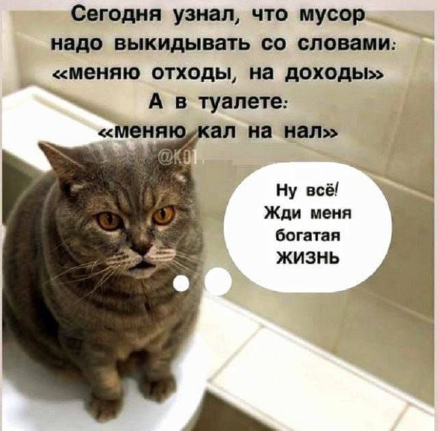 Сегодня узнал что мусор надо выкидывать со словами меняю отходы на доходы ы А в туалете меняюукал на нал