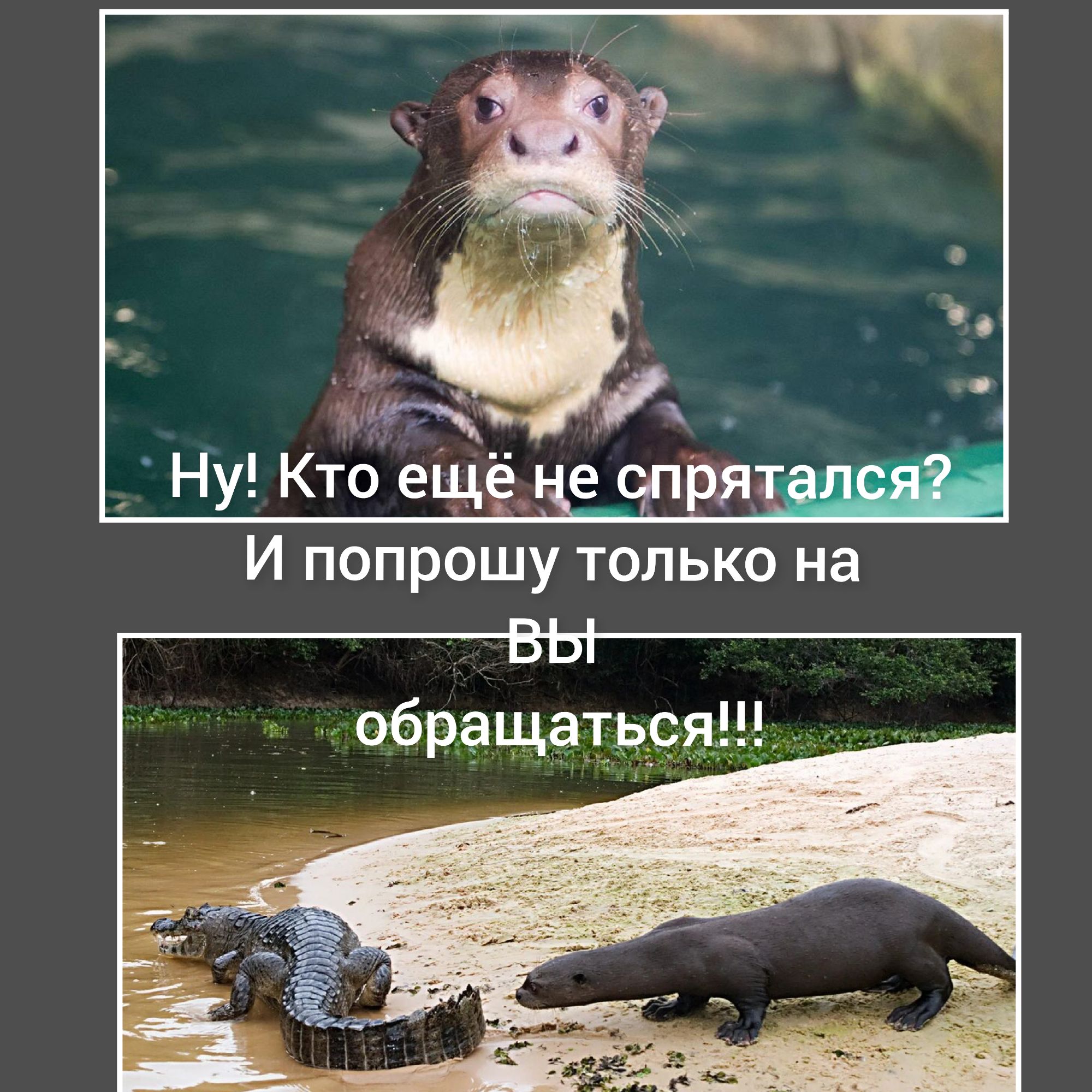 Ну! Кто ещё не спрятался? И попрошу только на ВЫ обращаться!!!