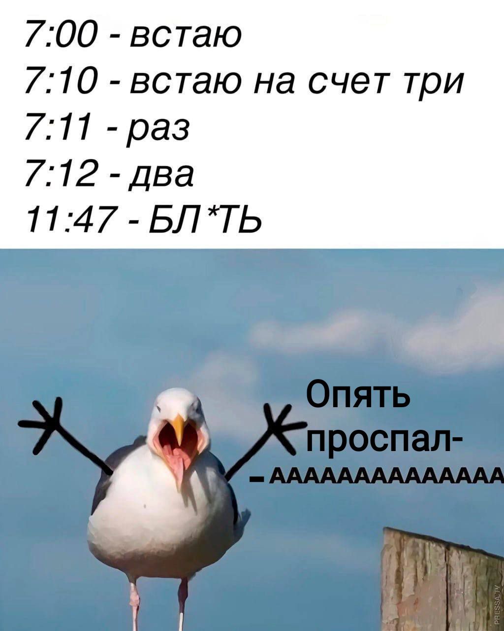 7:00 - встаю
7:10 - встаю на счет три
7:11 - раз
7:12 - два
11:47 - БЛ*Ть
Опять проспал- АААААААААААА
