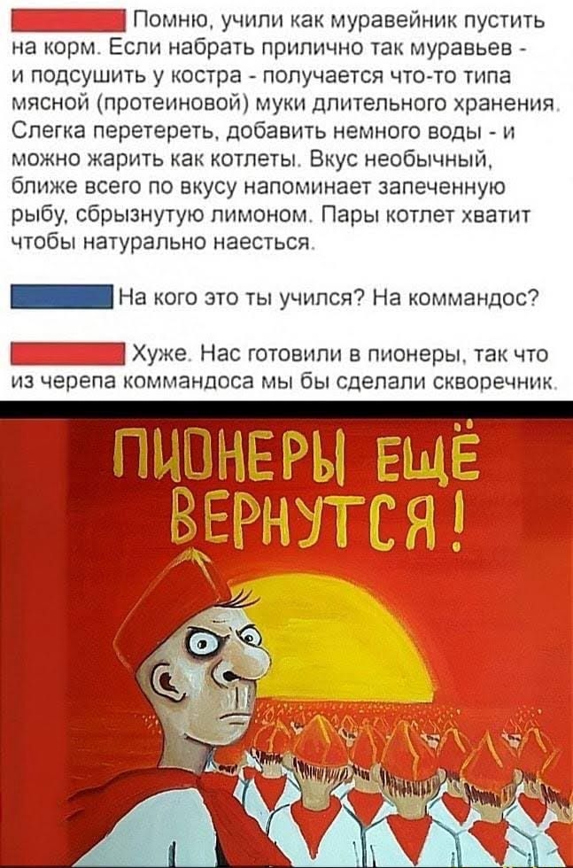 Помню, учили как муравейник пустить на корм. Если набрать прилично так муравьев - и подсушить в остре - получается что-то типа мясной (протеиновой) муки длительного хранения. Слегка перетереть, добавить немного воды - и можно жарить как котлеты. Вкусу необычным ближе всего по вкусу напоминает запеченную рыбу, сбрызнутую лимоном. Пары котлет хватит чтобы натурально наесться.

На кого это ты учился? На командос? Хуже. Нас готовили в пионеры, так что из черепа командоса мы бы сделали скворечник.

ПИОНЕРЫ ЕЩЁ ВЕРНУТСЯ!