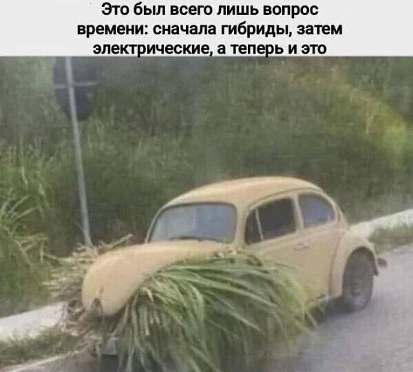 Это был всего лишь вопрос времени: сначала гибриды, затем электрические, а теперь и это