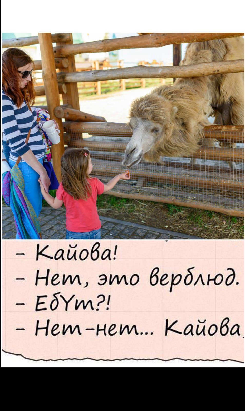 - Каёва!
- Нет, это верблюд.
- Едут?!
- Нет-нет... Каёва.
