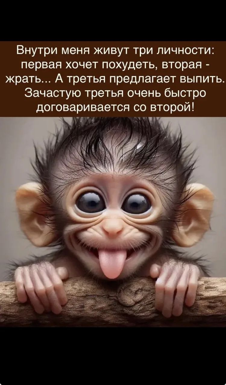 Внутри меня живут три личности: первая хочет похудеть, вторая - жрать... А третья предлагает выпить. Зачастую третья очень быстро договаривается со второй!