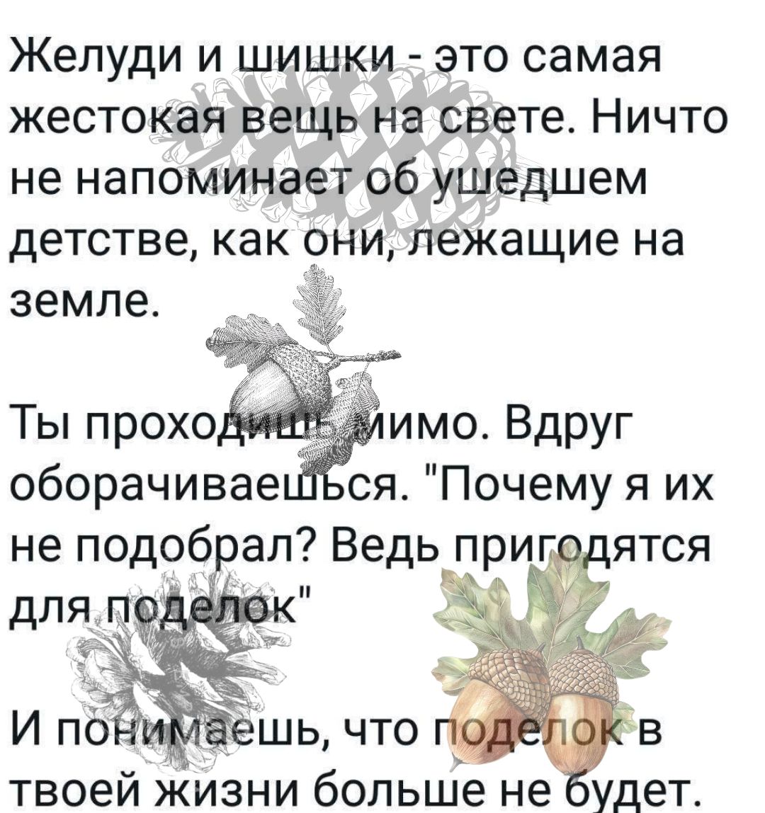 Желуди и шишки - это самая жестокая вещь на свете. Ничто не напоминает об ушедшем детстве, как они, лежащие на земле. Ты проходишь мимо. Вдруг оборачиваешься. 