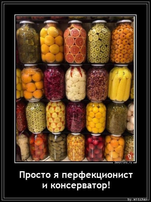 Просто я перфекционист и консерватор!