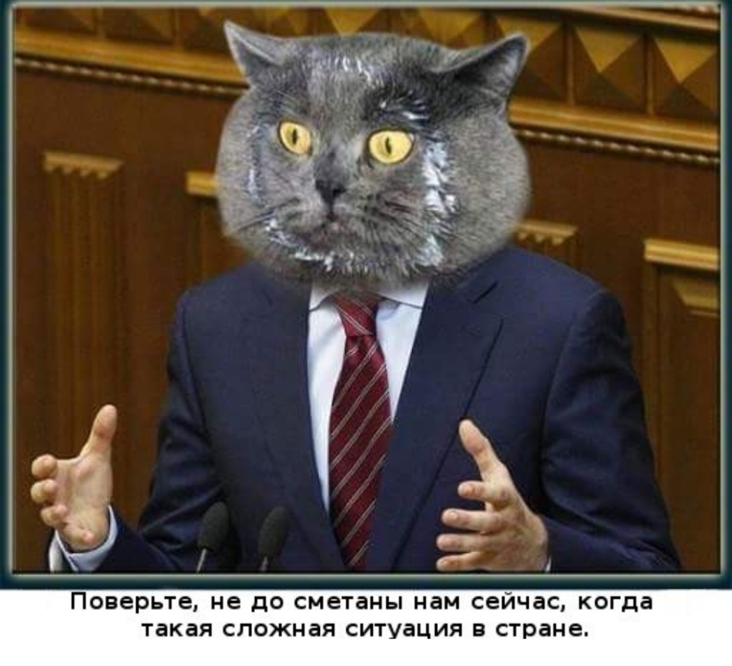 1 Поверьте не ДО сметаны нам сейчас когда такая сложная ситуация В стране