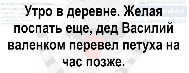 Утро в деревне Желая поспать еще дед Василий вапенком перевел петуха на час позже