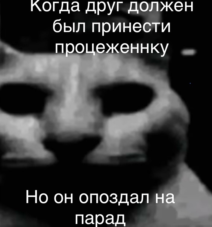 когда друг должен был принести О ннку Но он опоздал к парад _