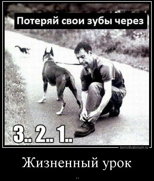 Потеряй свои зубы через 3..2..1.. Жизненный урок