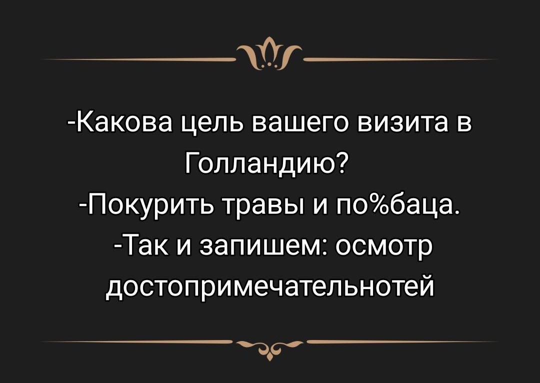 -Какова цель вашего визита в Голландию?
-Покурить травы и по%баца.
-Так и запишем: осмотр достопримечательностей.