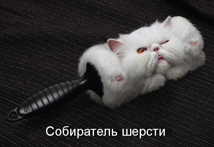 _ Собиратель шерсти