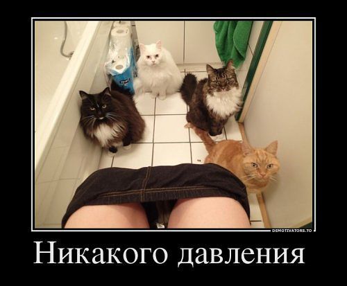 _ НИКЭКОГО давления