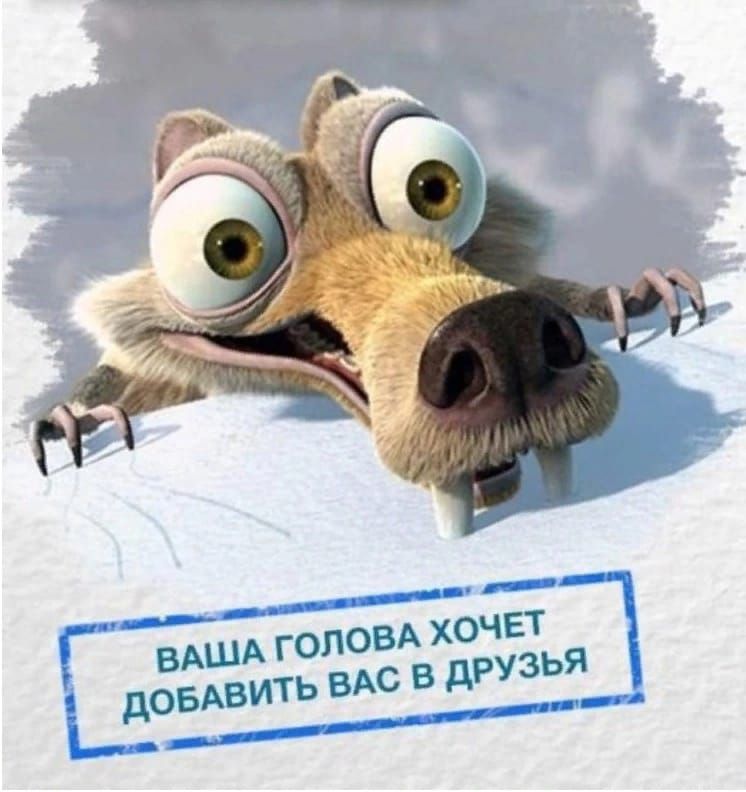 ВАША ГОЛОВА ХОЧЕТ ДОБАВИТЬ ВАС В ДРУЗЬЯ
