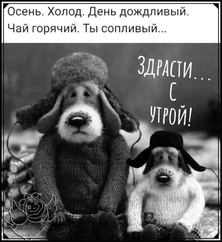 Осень. Холод. День дождливый. Чай горячий. Ты сопливый...
ЗДРАСТИ... С УТРОЙ!