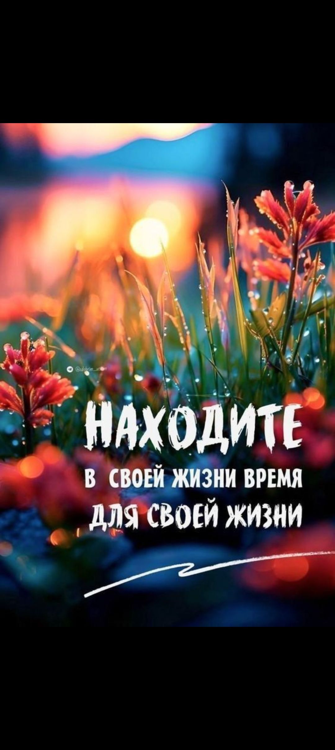 НАХОДИТЕ
в своей жизни время
для своей жизни