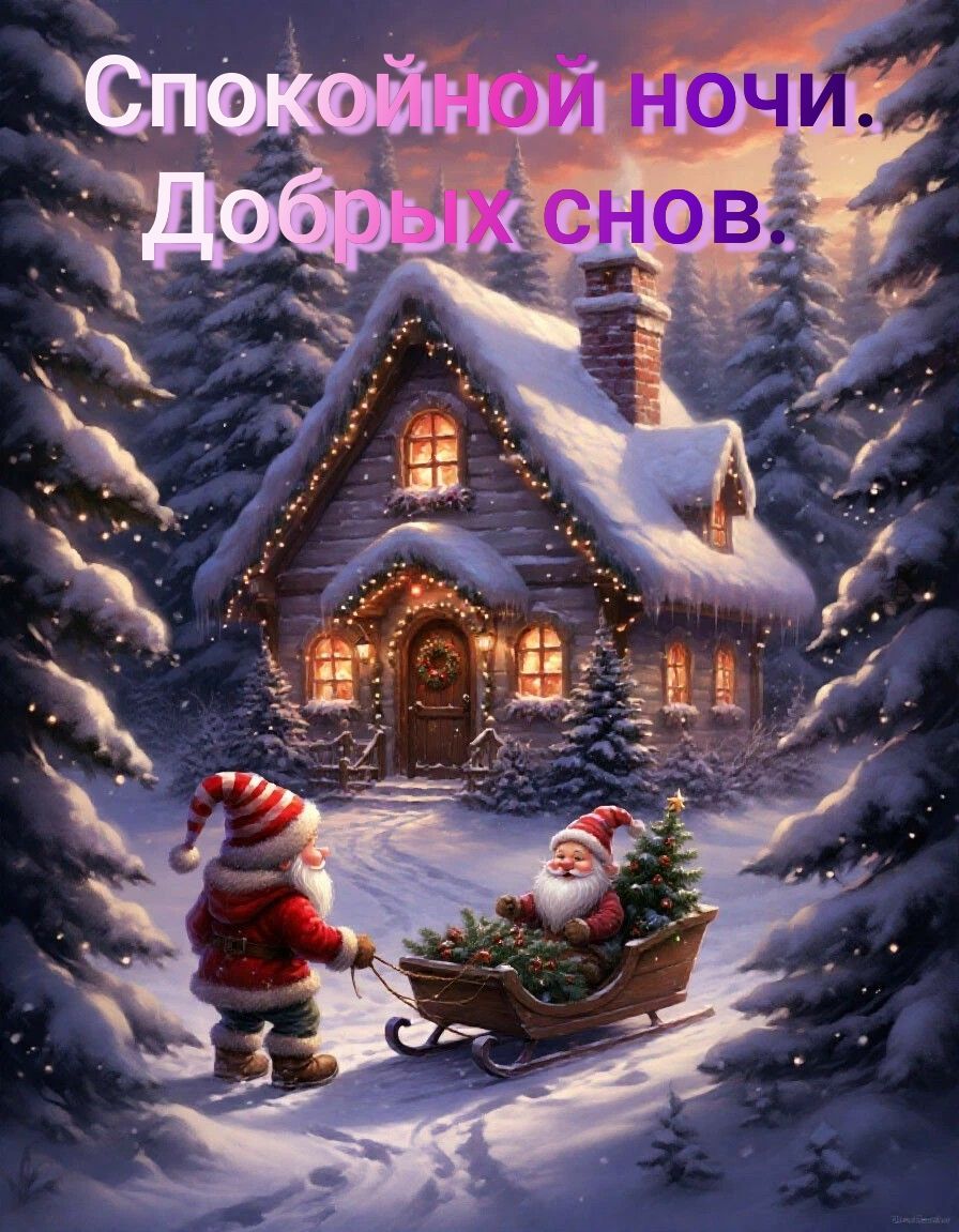 Спокойной ночи. Добрых снов.