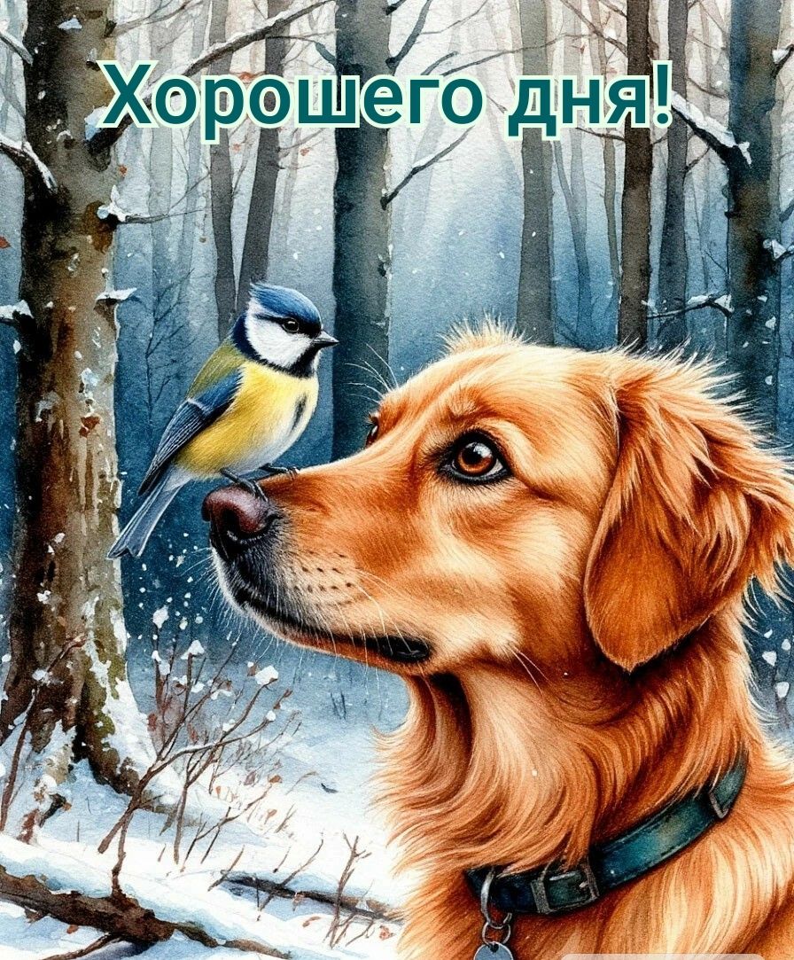 Хорошего дня!