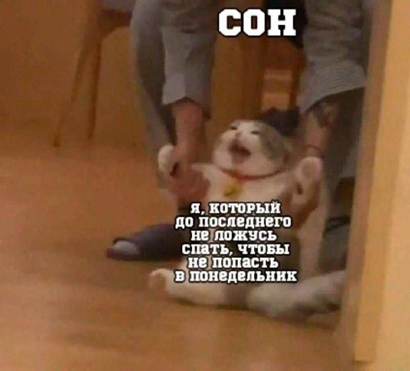 СОН
я, который до последнего не ложусь спать, чтобы не попасть в понедельник