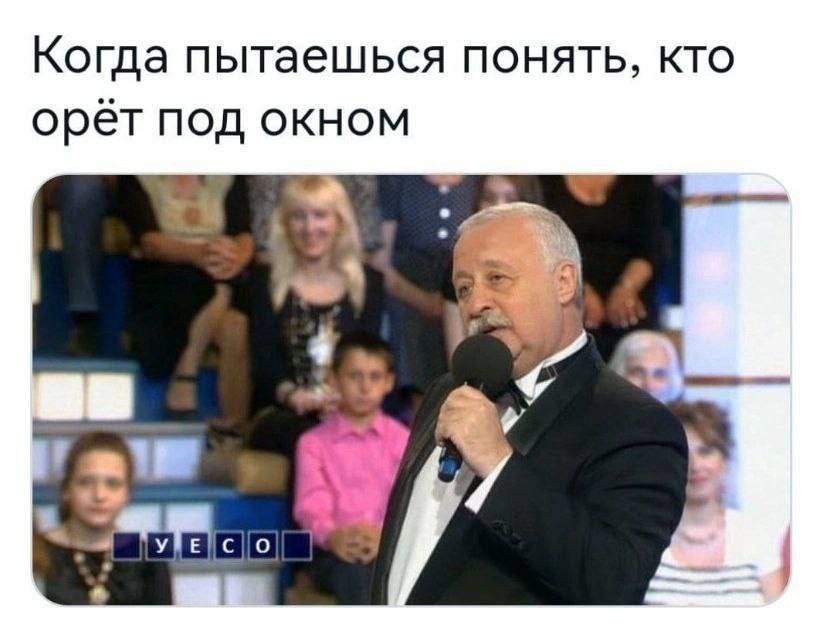 Когда пытаешься понять, кто орёт под окном
