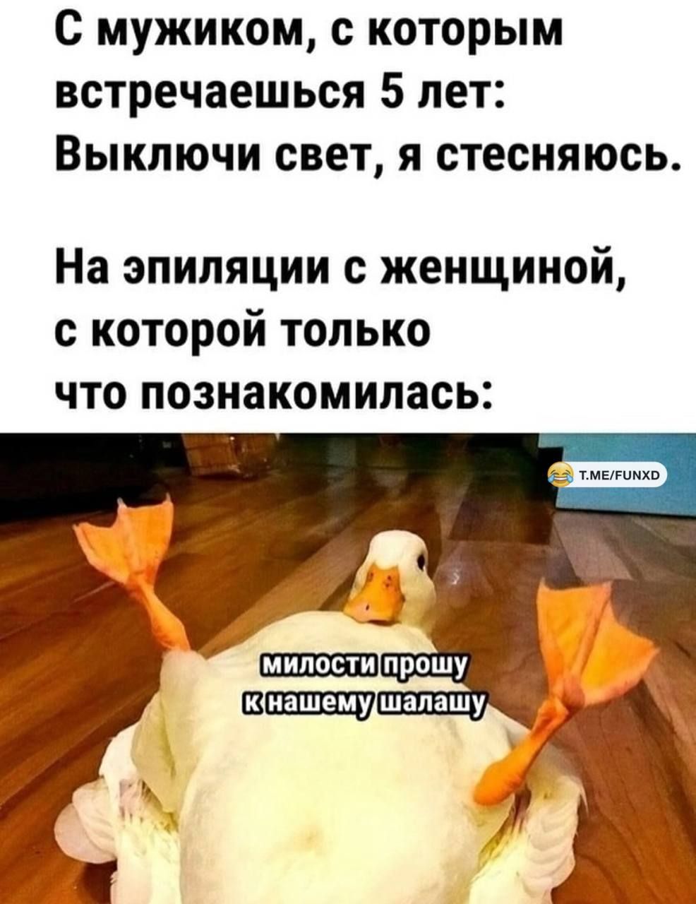 С мужиком, с которым встречаешься 5 лет: Выключи свет, я стесняюсь.
На эпиляции с женщиной, с которой только что познакомилась: милости прошу к нашему шалашу