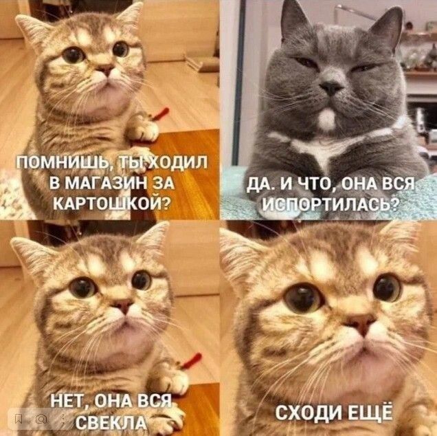 Помнишь, ты ходил в магазин за картошкой? Да. И что, она вся испортилась? Нет, она вся ... Сходи ещё