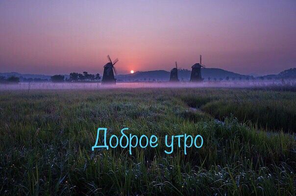 Доброе утро